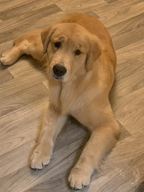 penny